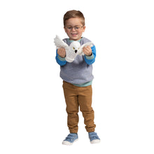 Load image into Gallery viewer, 29344816