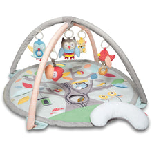 Load image into Gallery viewer, Skip Hop Treetop Friends Activity Gym - Grey/Pastel
