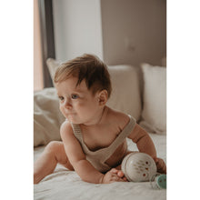 Load image into Gallery viewer, Suavinex Duo Soother Case - Bonhomia Owl Green