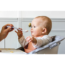 Load image into Gallery viewer, Beaba 1st Stage Silicone Spoons &amp; Case 2 Pack - Misty Green/Pebble
