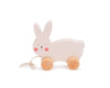 Bubble Wooden Pull Along - Rabbit