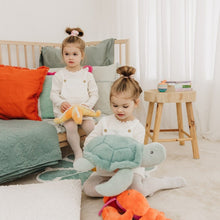 Load image into Gallery viewer, Bubble Plush Toy - Sunny the Starfish
