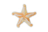Bubble Plush Toy - Sunny the Starfish