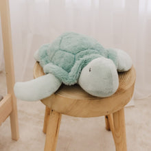Load image into Gallery viewer, Bubble Plush Toy - Toby The Turtle
