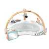 Skip Hop Discoverosity Activity Gym